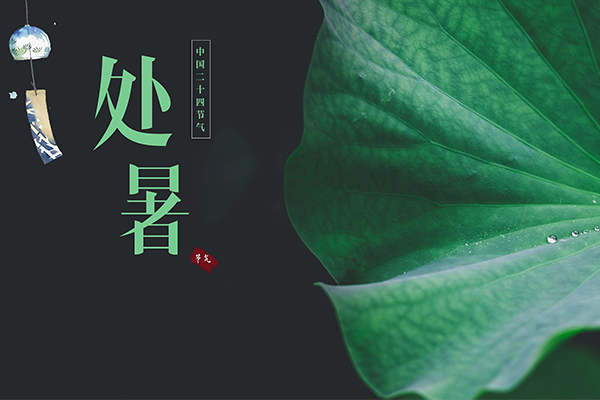 W | ÿһ|LУĉ